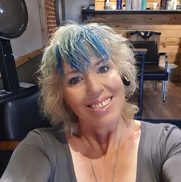 shorthairshai